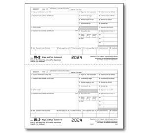 Image for item #82-5204: W-2 Laser Copy D Employer City/State