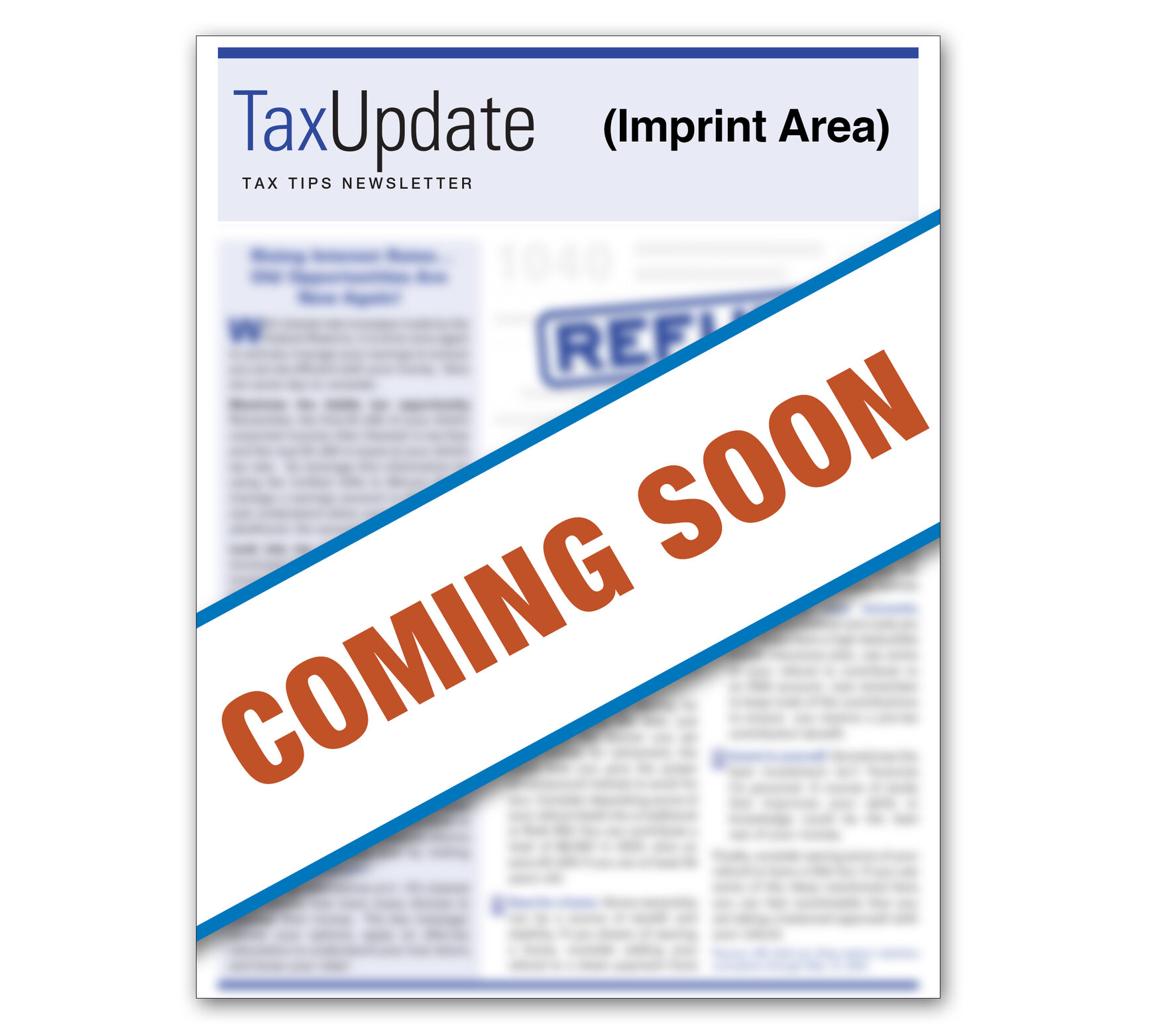 TAX TIPS Newsletter 2024 Imprinted Item 03801
